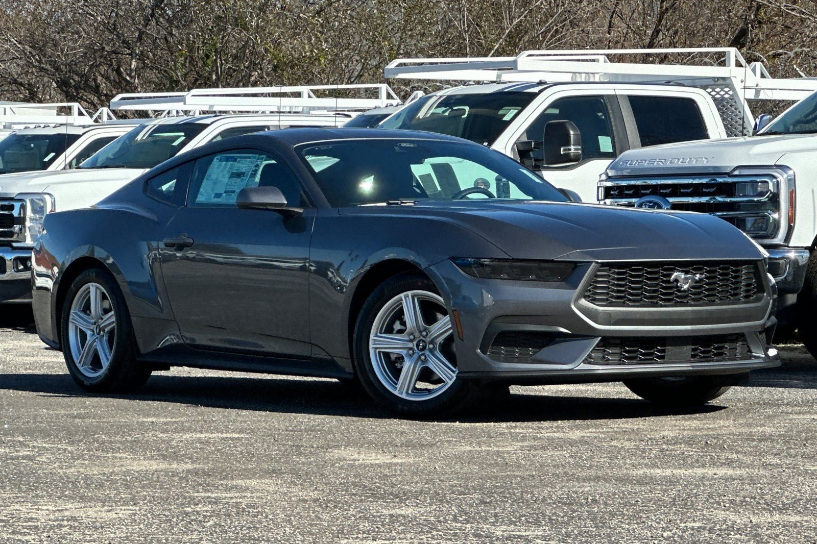 2026 Ford Mustang EcoBoost