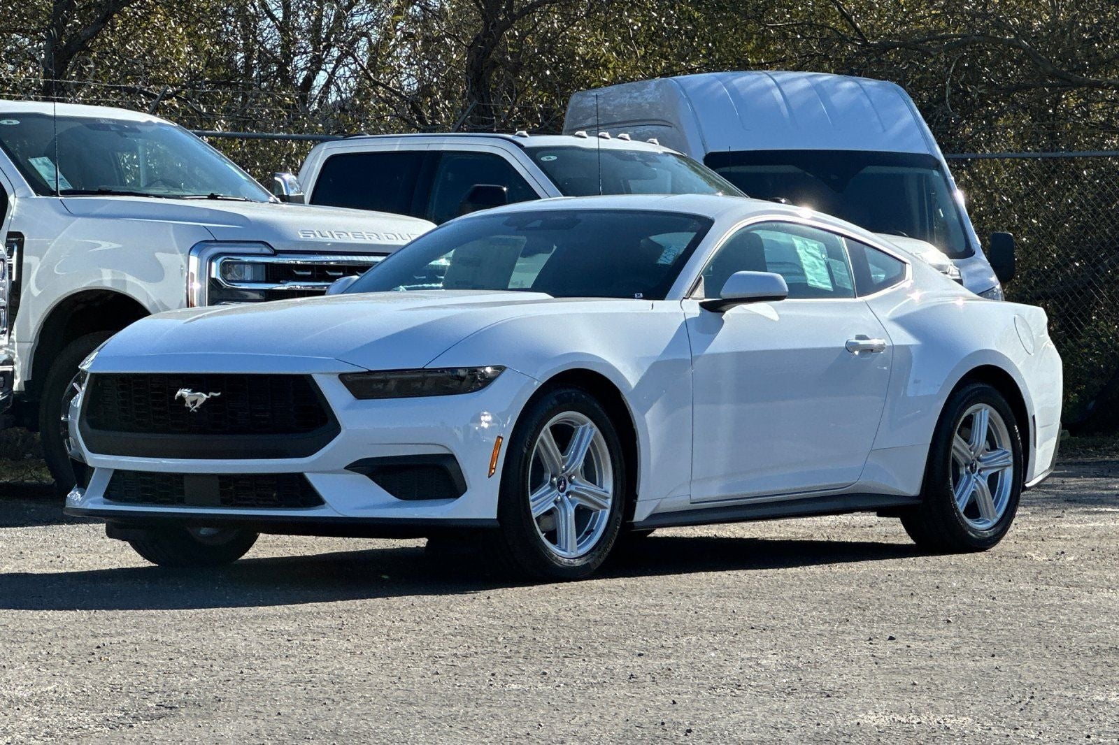 2026 Ford Mustang EcoBoost