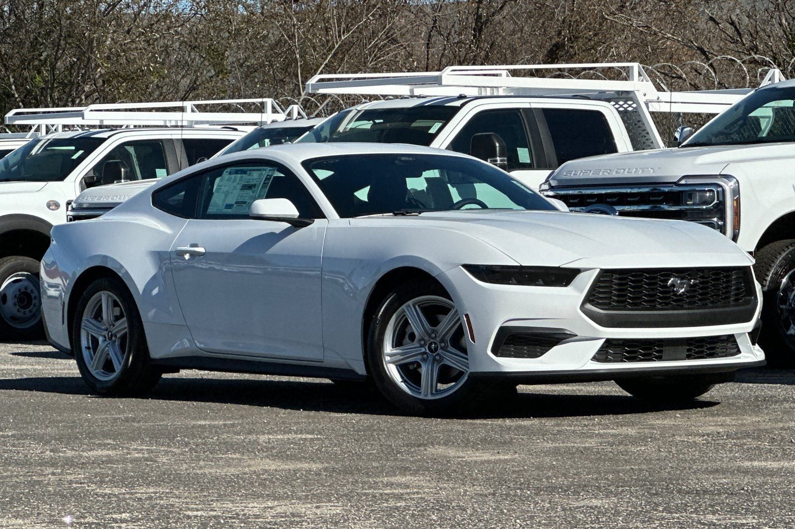 2026 Ford Mustang EcoBoost