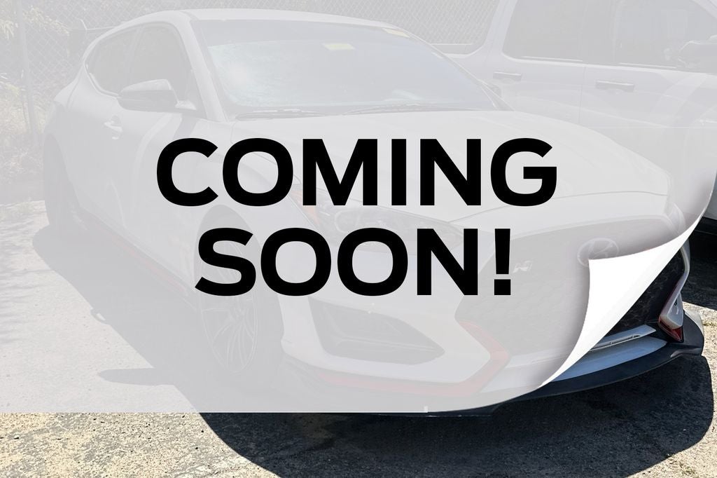 2020 Hyundai Veloster N